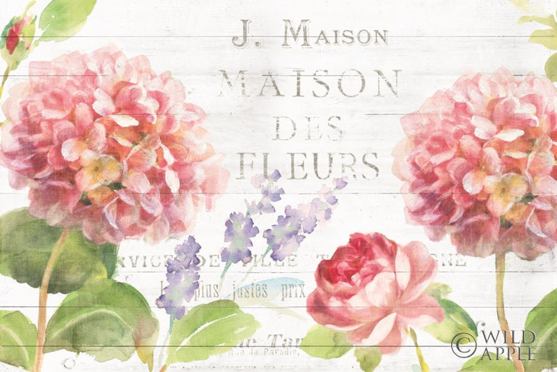 Reproduction of Maison Des Fleurs II by Danhui Nai - Wall Decor Art