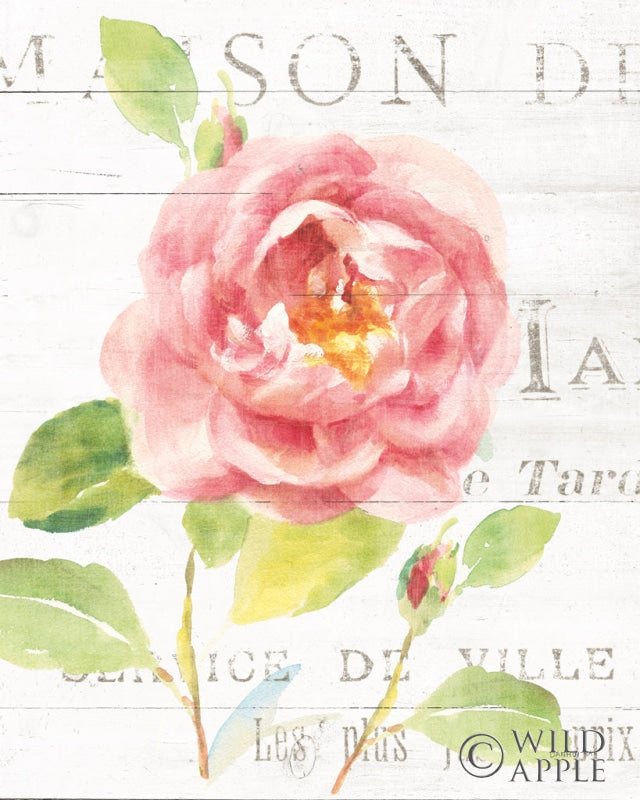 Reproduction of Maison des Fleurs V by Danhui Nai - Wall Decor Art