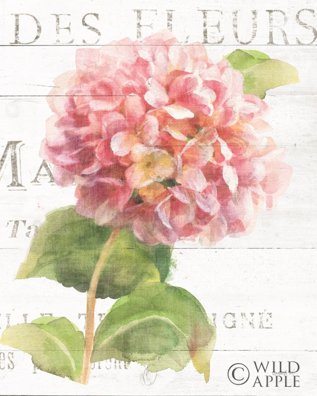 Reproduction of Maison des Fleurs VII by Danhui Nai - Wall Decor Art