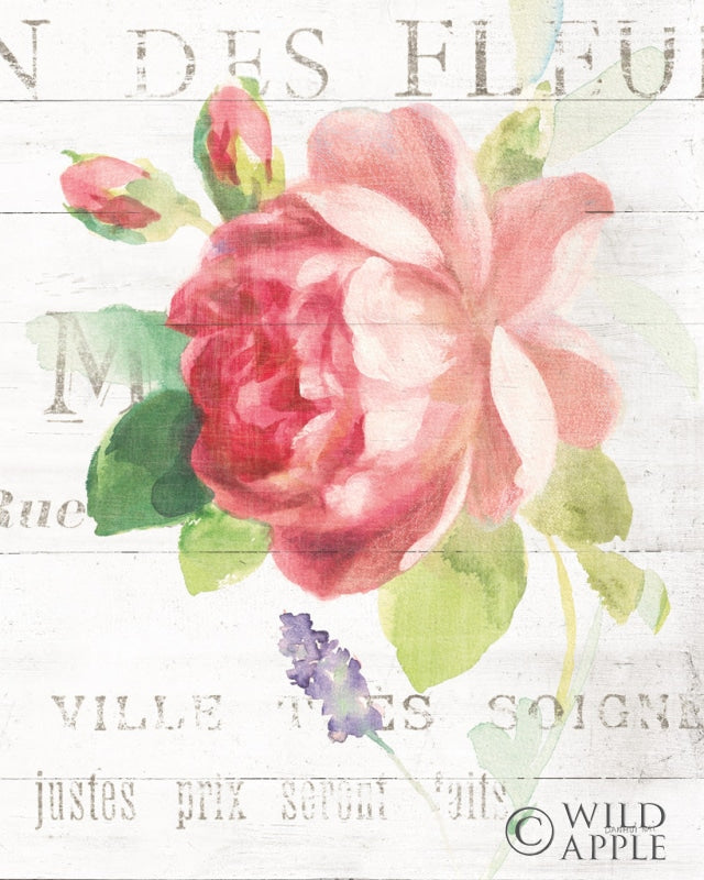 Reproduction of Maison des Fleurs VIII by Danhui Nai - Wall Decor Art