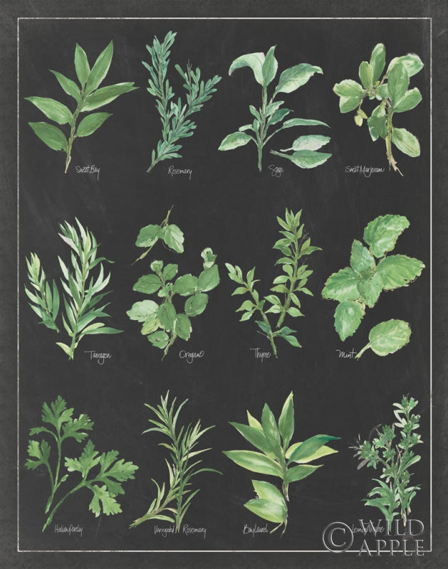 Reproduction of Herb Chart on Black White Border by Chris Paschke - Wall Decor Art