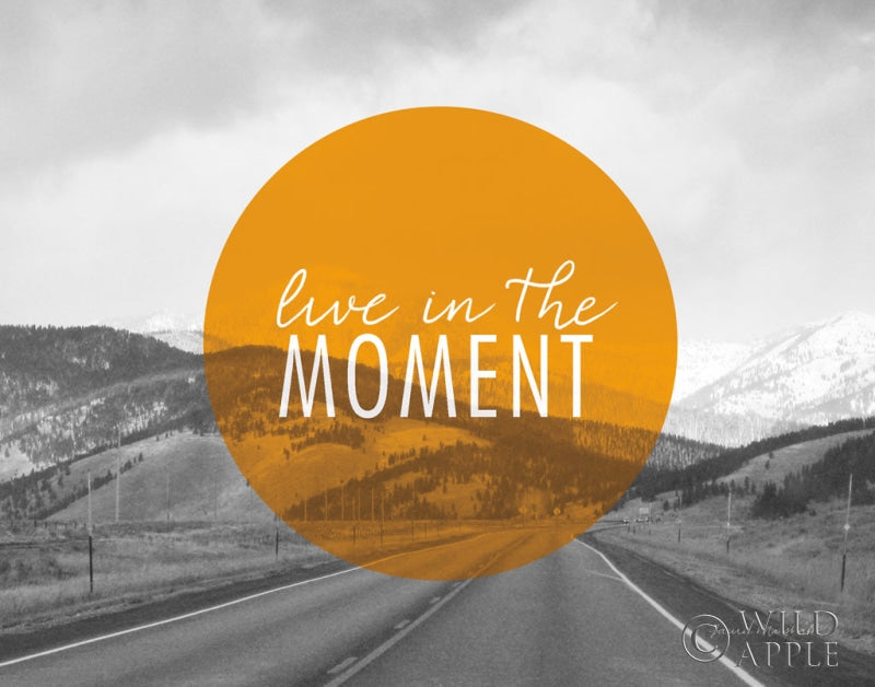 Reproduction of Bold Adventures I v2 Crop by Laura Marshall - Wall Decor Art