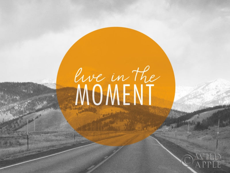 Reproduction of Bold Adventures I v2 by Laura Marshall - Wall Decor Art