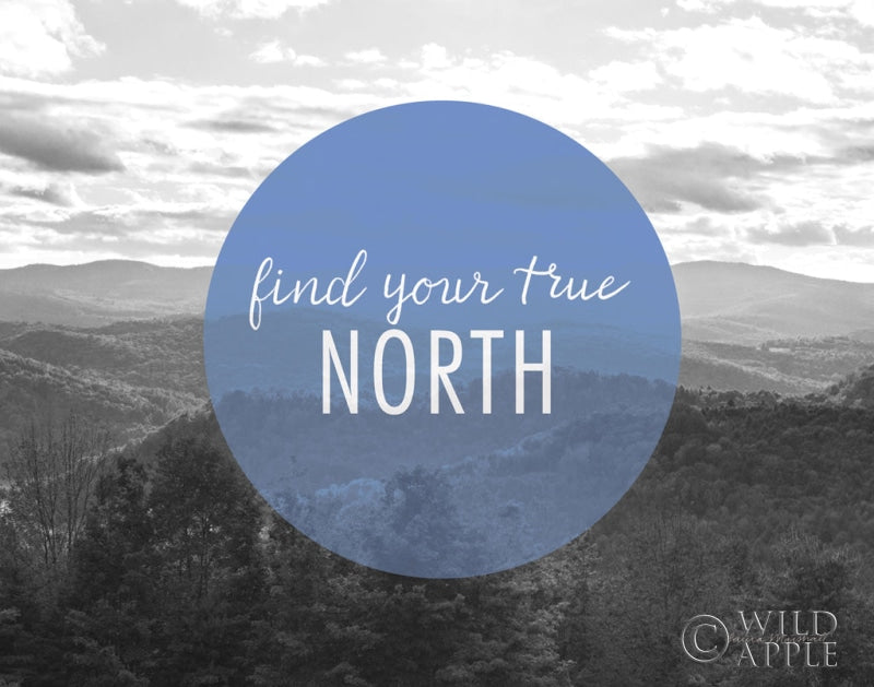 Reproduction of Bold Adventures VI v2 Crop by Laura Marshall - Wall Decor Art