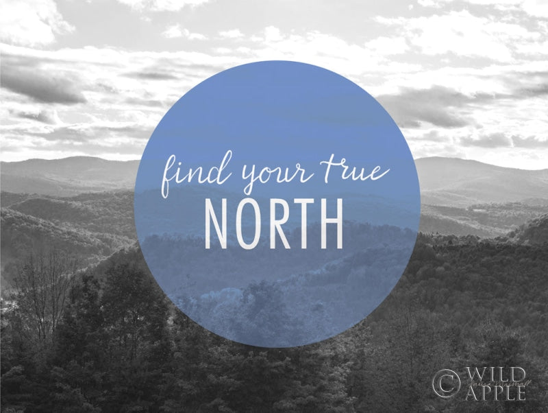 Reproduction of Bold Adventures VI v2 by Laura Marshall - Wall Decor Art