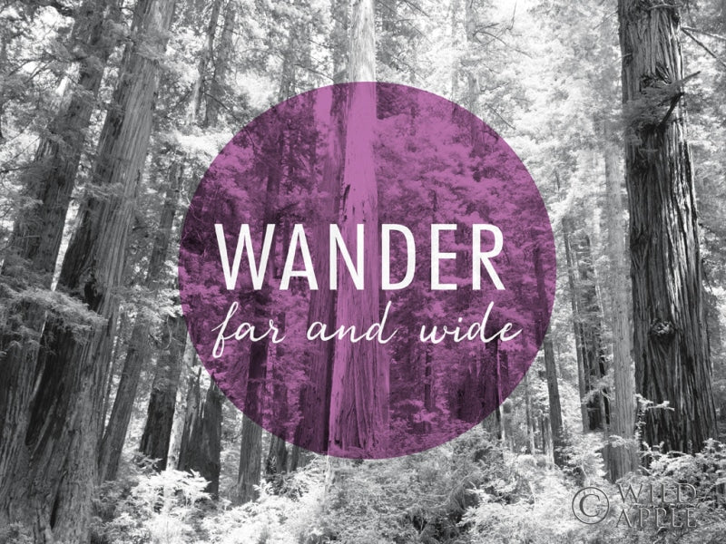 Reproduction of Wander Far and Wide v2 by Laura Marshall - Wall Decor Art