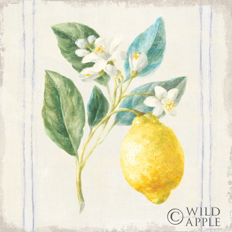Reproduction of Floursack Lemons I Sq Navy by Danhui Nai - Wall Decor Art