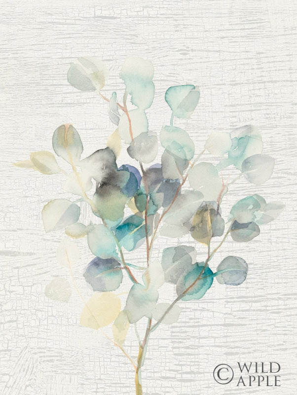 Reproduction of Eucalyptus III Vintage by Danhui Nai - Wall Decor Art