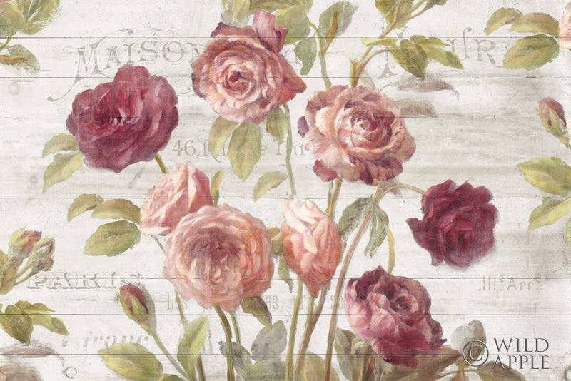 Reproduction of French Roses I by Danhui Nai - Wall Decor Art