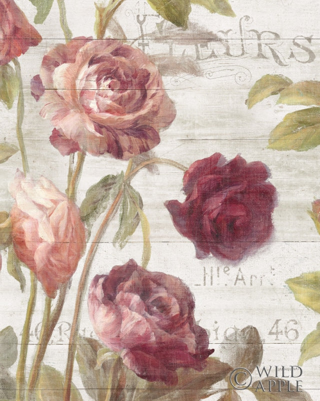 Reproduction of French Roses II by Danhui Nai - Wall Decor Art