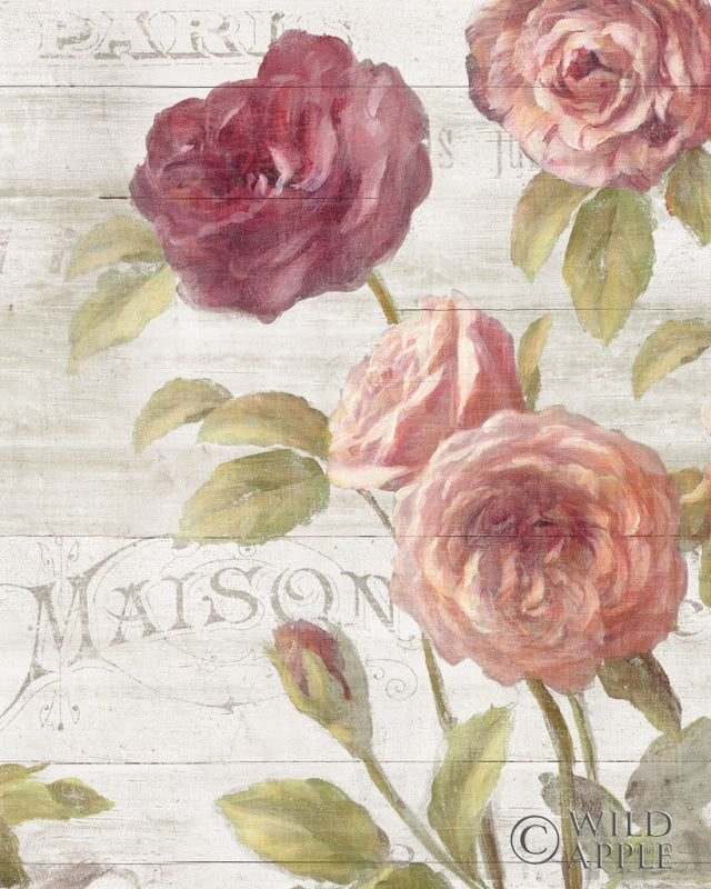 Reproduction of French Roses III by Danhui Nai - Wall Decor Art