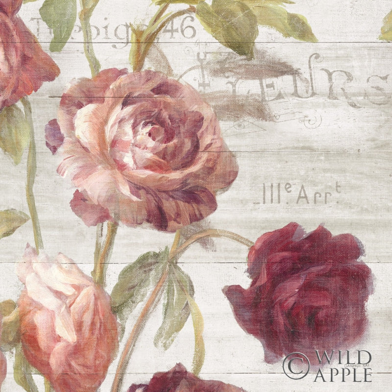Reproduction of French Roses IV by Danhui Nai - Wall Decor Art