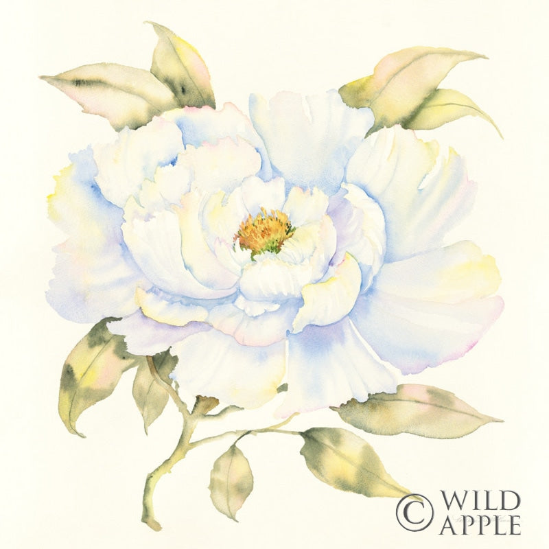 Reproduction of Peony by Kathleen Parr McKenna - Wall Decor Art