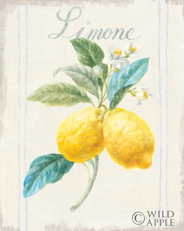 Reproduction of Floursack Lemon III v2 by Danhui Nai - Wall Decor Art