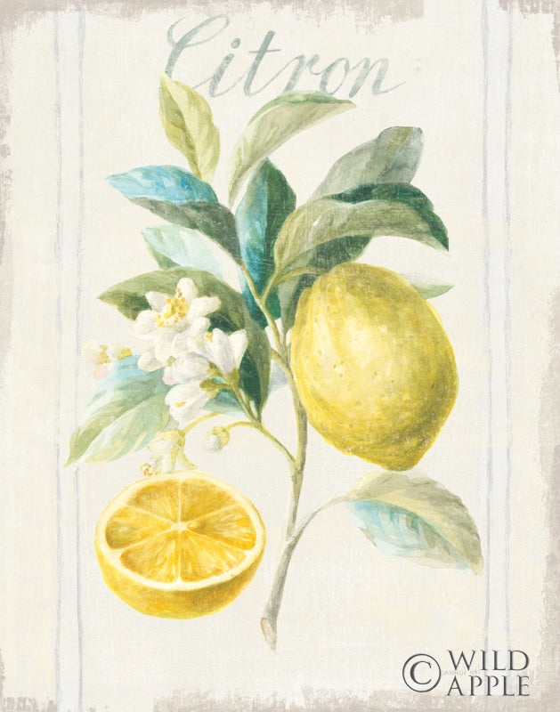 Reproduction of Floursack Lemon IV v2 by Danhui Nai - Wall Decor Art