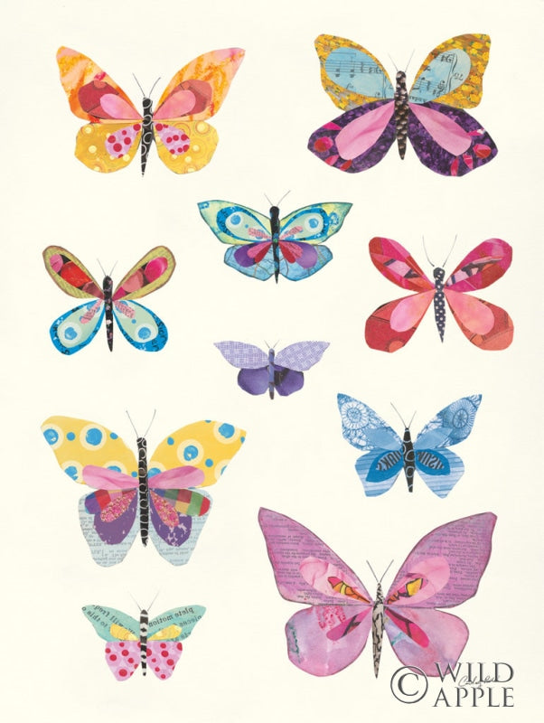 Reproduction of Butterfly Charts II by Courtney Prahl - Wall Decor Art