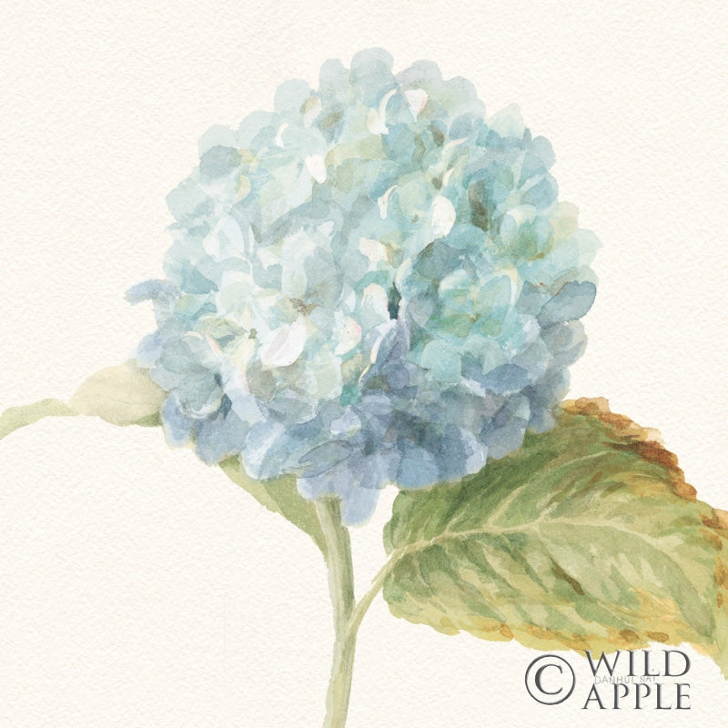 Reproduction of Floursack Florals V - Blue Hydrangea Crop by Danhui Nai - Wall Decor Art