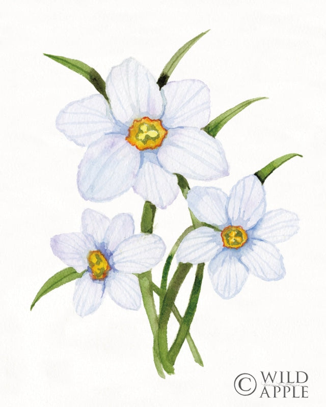 Reproduction of Easter Blessing Flowers I by Kathleen Parr McKenna - Wall Decor Art