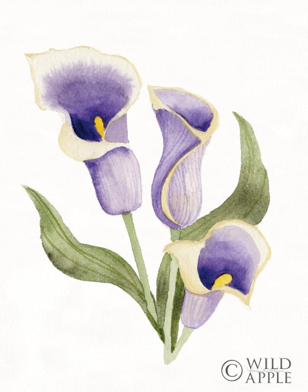 Reproduction of Easter Blessing Flower III by Kathleen Parr McKenna - Wall Decor Art