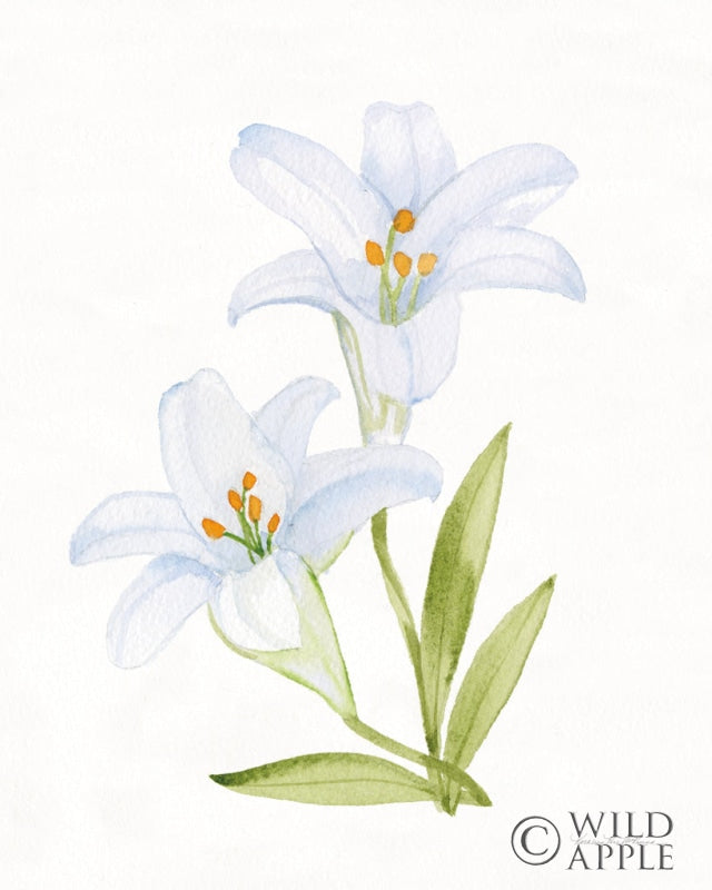 Reproduction of Easter Blessing Flowers IV by Kathleen Parr McKenna - Wall Decor Art