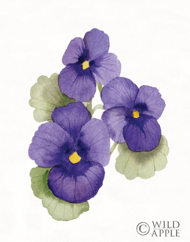 Reproduction of Easter Blessing Flower IX by Kathleen Parr McKenna - Wall Decor Art