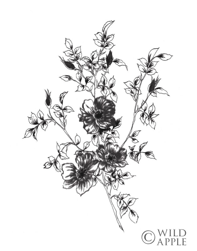 Reproduction of Sketchbook Flowers on White II by Wild Apple Portfolio - Wall Decor Art