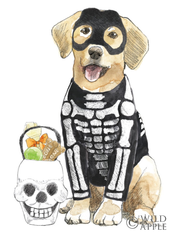 Reproduction of Halloween Pets VII by Beth Grove - Wall Decor Art