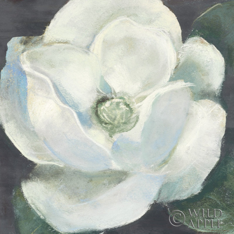 Reproduction of Magnolia II Sage by Carol Rowan - Wall Decor Art