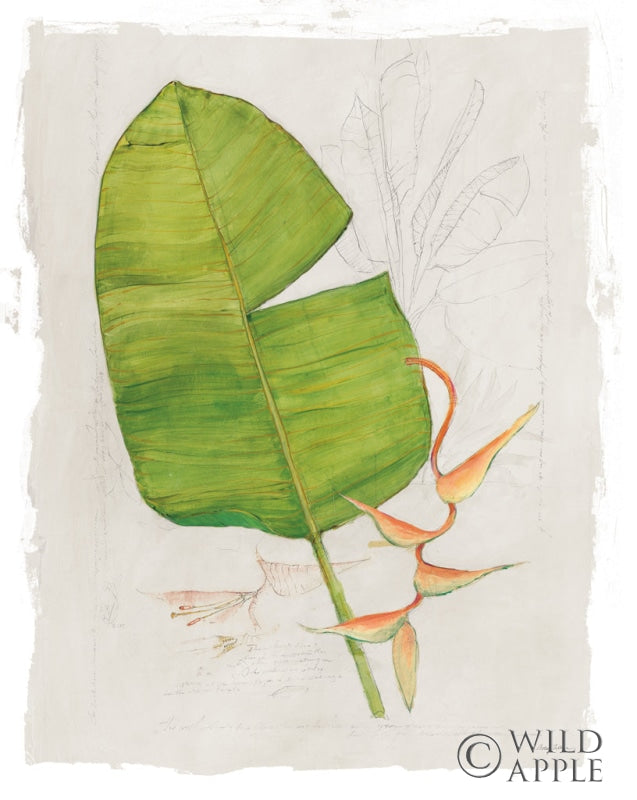 Reproduction of Botanical Journal I Light by Avery Tillmon - Wall Decor Art
