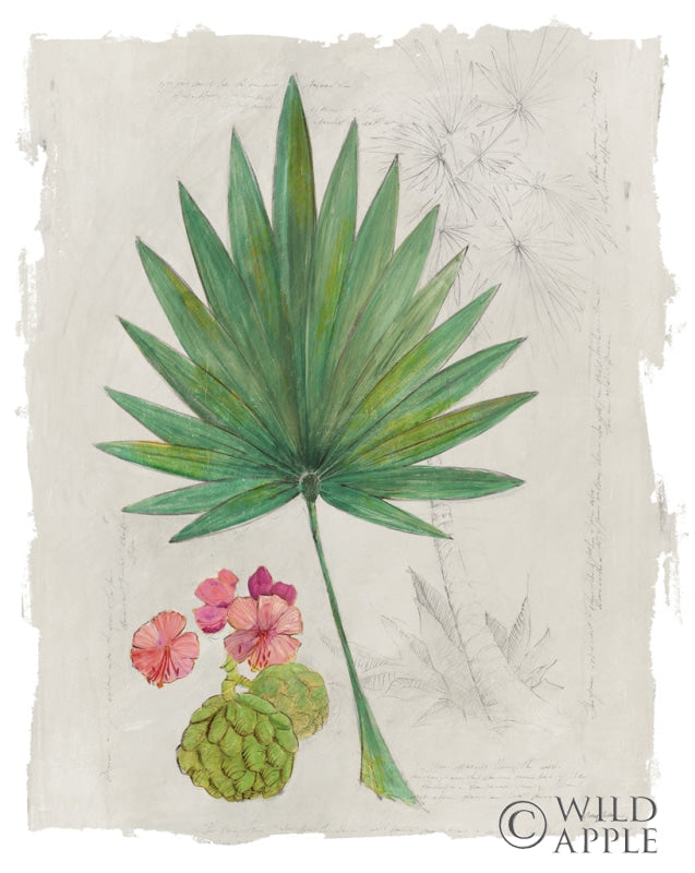 Reproduction of Botanical Journal II Light by Avery Tillmon - Wall Decor Art