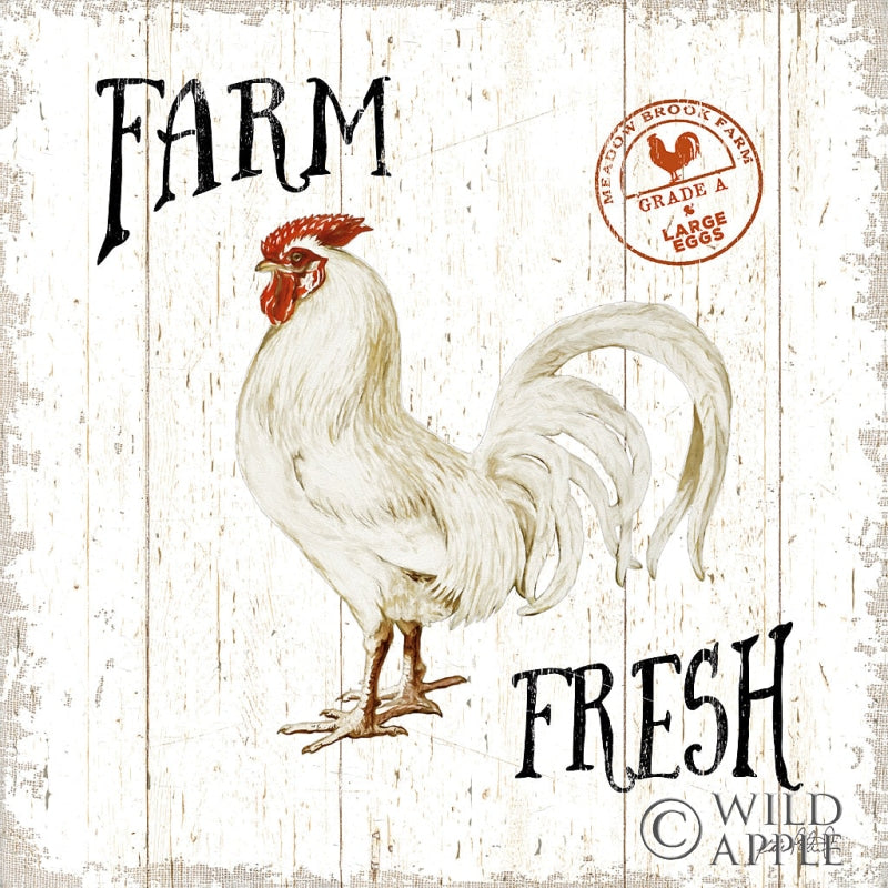 Reproduction of Free Range Fresh III by Katie Pertiet - Wall Decor Art