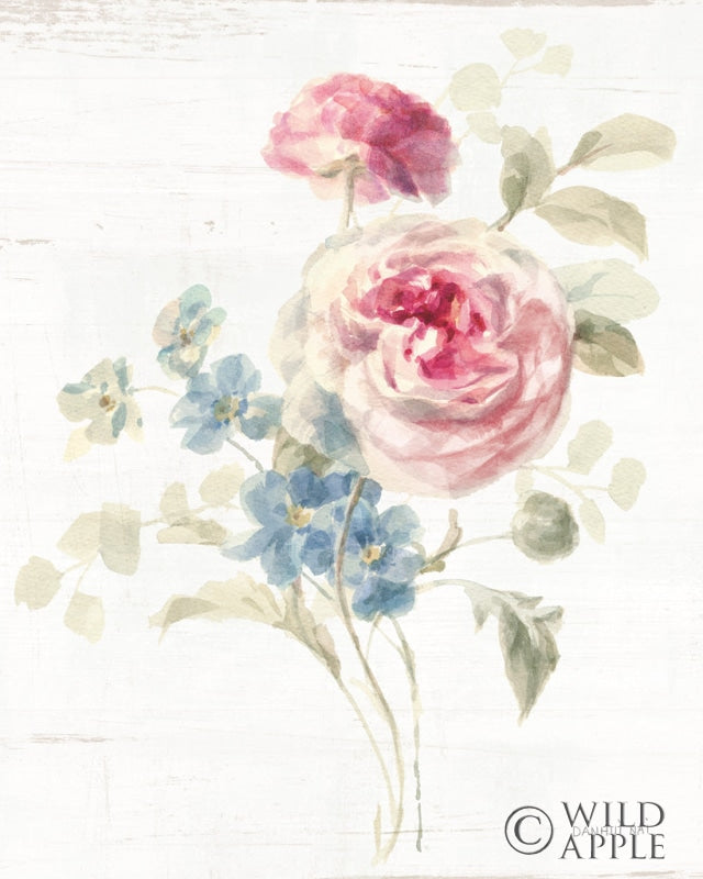 Reproduction of Cottage Garden II by Danhui Nai - Wall Decor Art