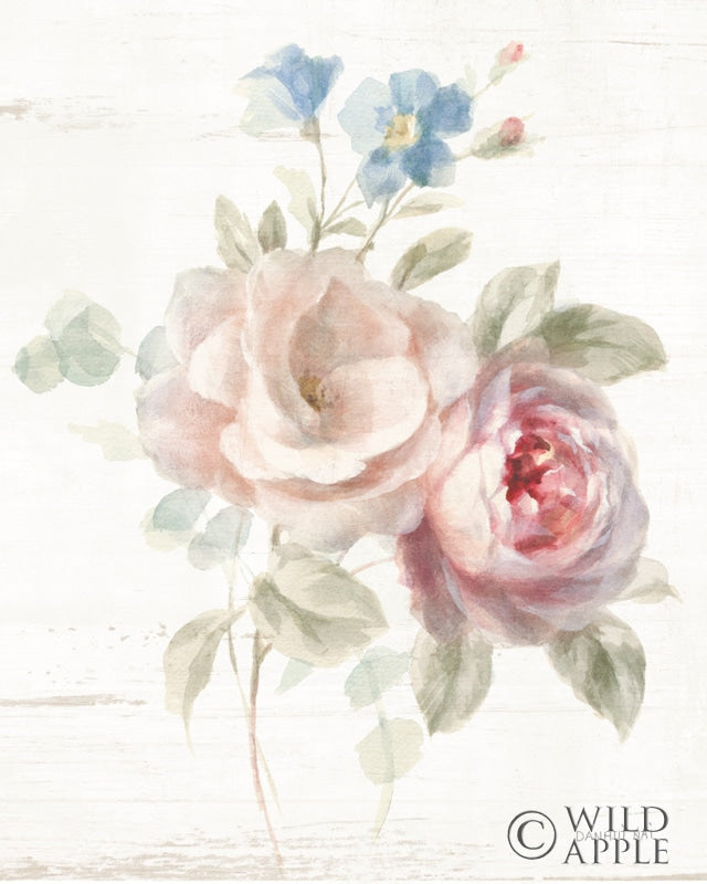 Reproduction of Cottage Garden IV by Danhui Nai - Wall Decor Art