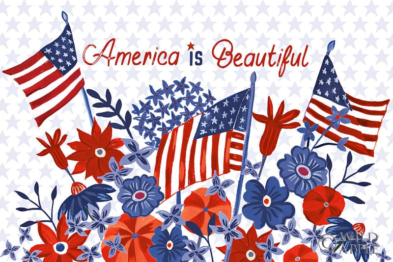 Reproduction of America the Beautiful I by Farida Zaman - Wall Decor Art