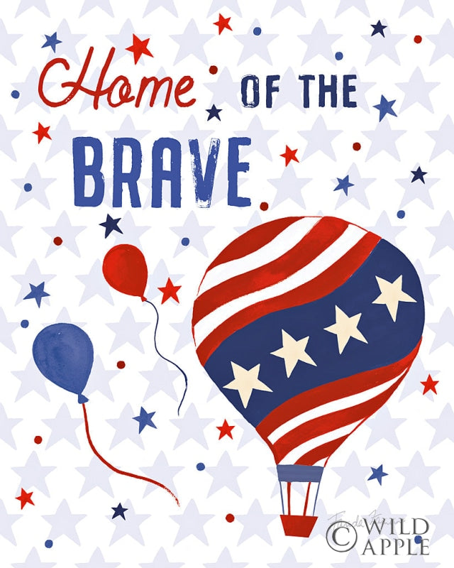 Reproduction of America The Beautiful V by Farida Zaman - Wall Decor Art