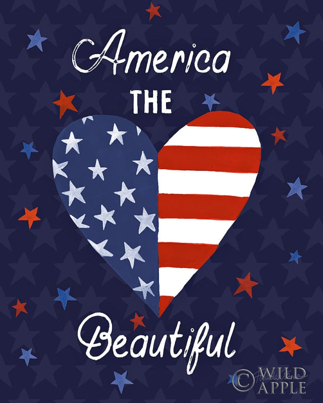 Reproduction of America The Beautiful VI by Farida Zaman - Wall Decor Art