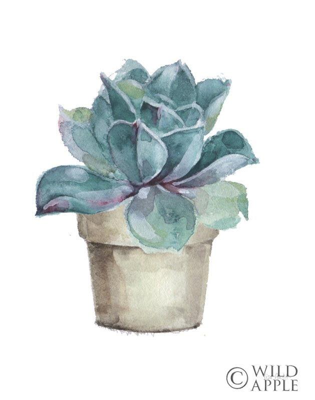 Reproduction of Mixed Greens Succulent IV by Lisa Audit - Wall Decor Art