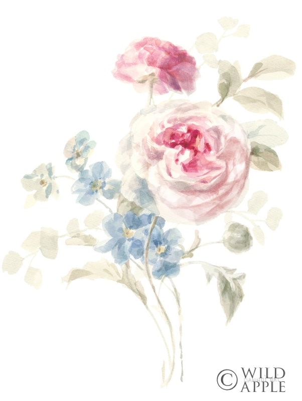 Reproduction of Cottage Garden II on White by Danhui Nai - Wall Decor Art