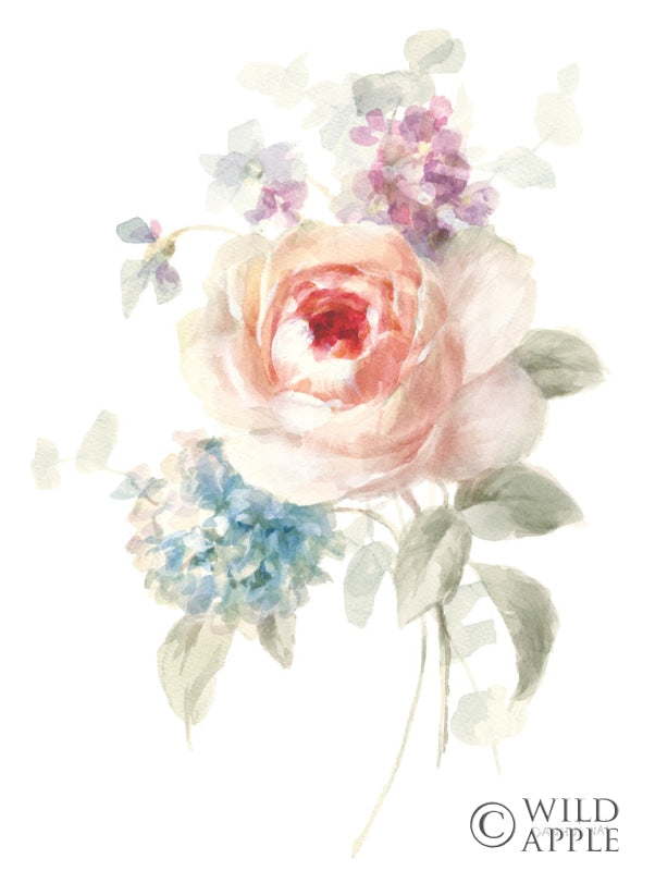 Reproduction of Cottage Garden III on White by Danhui Nai - Wall Decor Art