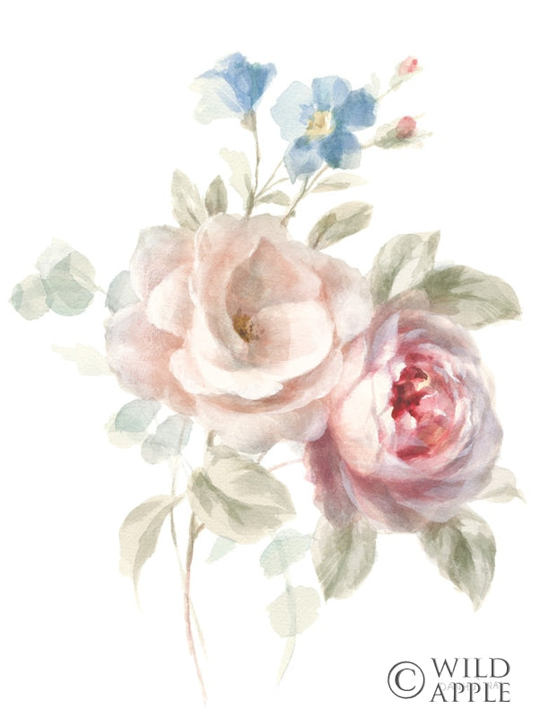 Reproduction of Cottage Garden IV on White by Danhui Nai - Wall Decor Art