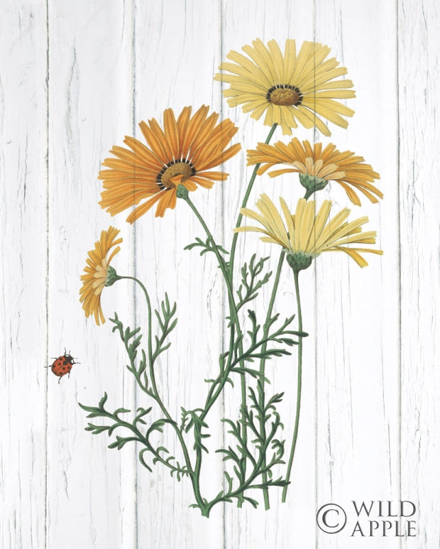 Reproduction of Botanical Bouquet on Wood I by Wild Apple Portfolio - Wall Decor Art