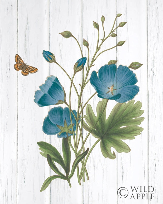 Reproduction of Botanical Bouquet on Wood III by Wild Apple Portfolio - Wall Decor Art