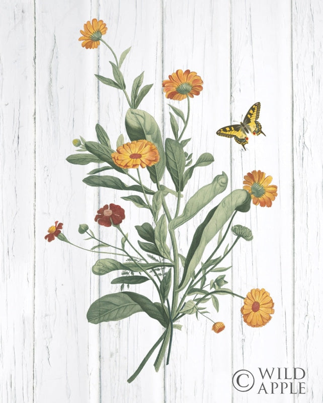 Reproduction of Botanical Bouquet on Wood IV by Wild Apple Portfolio - Wall Decor Art