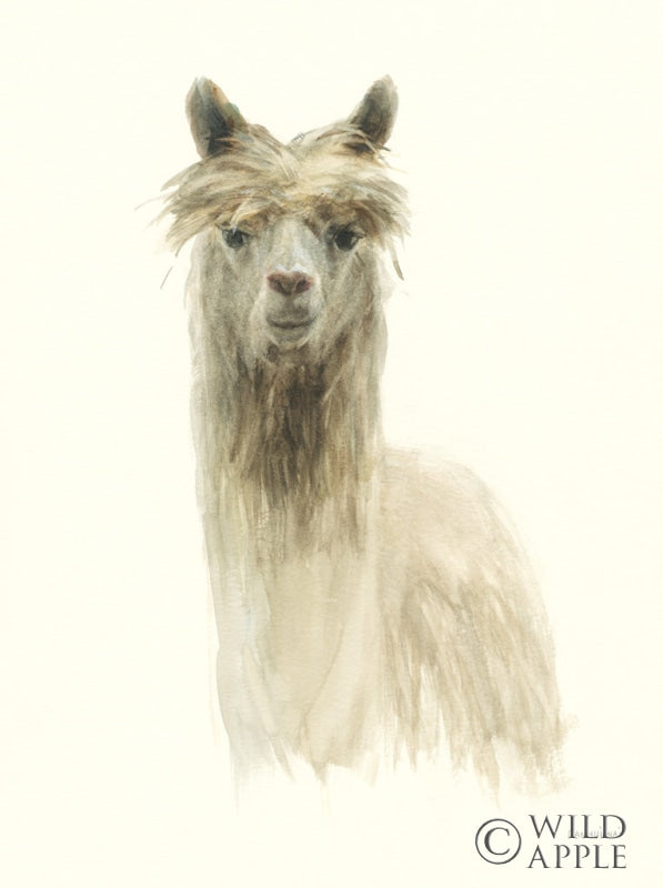 Reproduction of Classic Llamas I by Danhui Nai - Wall Decor Art