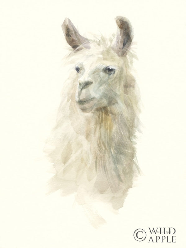 Reproduction of Classic Llamas II by Danhui Nai - Wall Decor Art