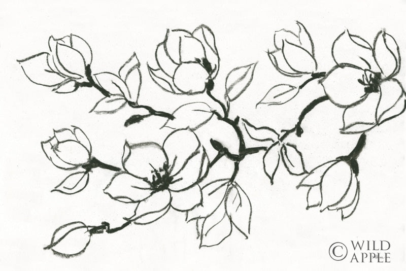 Reproduction of Flower Drawing by Albena Hristova - Wall Decor Art