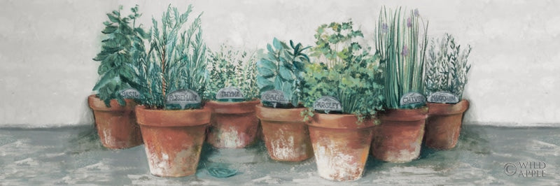 Reproduction of Pots of Herbs II Cottage v2 by Carol Rowan - Wall Decor Art