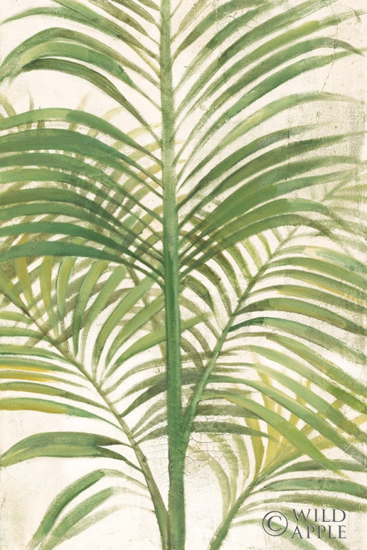 Reproduction of Palms II Bright by Albena Hristova - Wall Decor Art