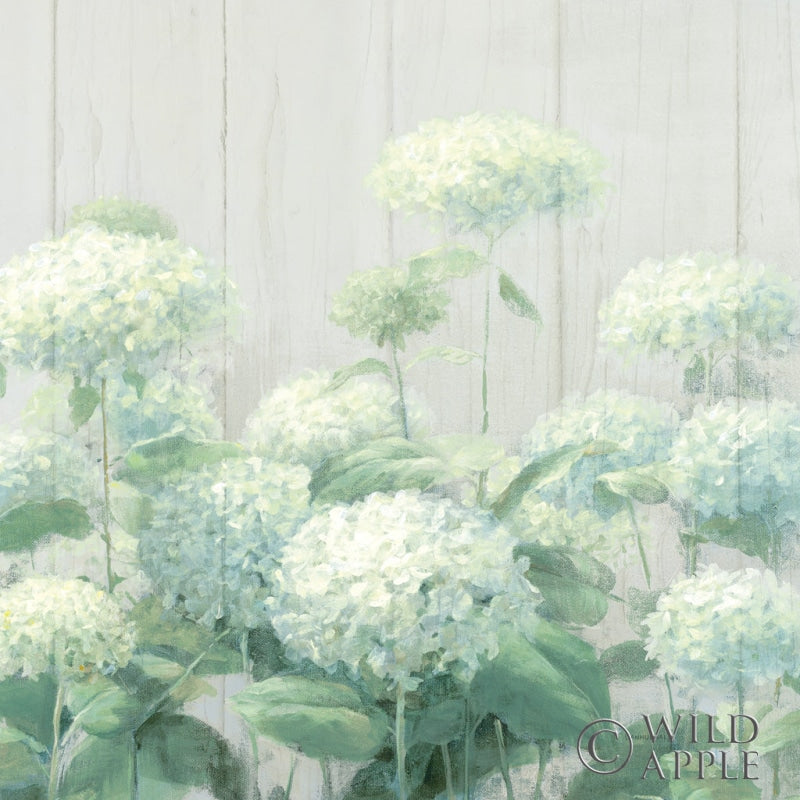 Reproduction of White Hydrangea Garden Sage on Wood Crop by Danhui Nai - Wall Decor Art