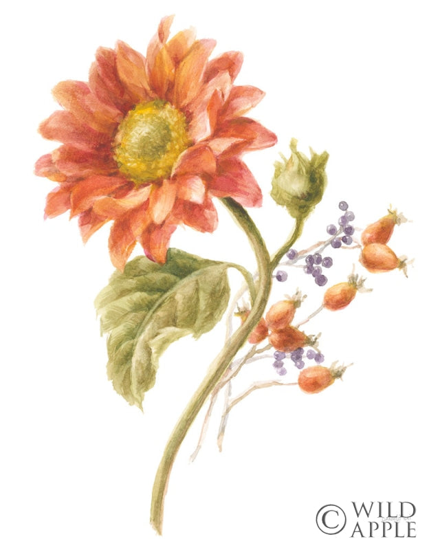 Reproduction of Floursack Autumn II on White by Danhui Nai - Wall Decor Art